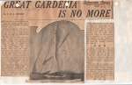 Great Gardenia is No More:  Schooner Days CCCC (400)