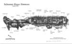 ROUSE SIMMONS Shipwreck (Schooner): National Register of Historic Places