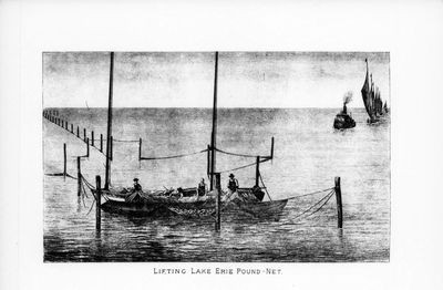 Lifting Lake Erie Pound-Net