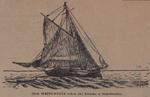 Old War Horse Spared the Colts: Schooner Days DXIV (514)