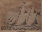 'MAPLE LEAF' in Two Guises: Schooner Days DCXXII (622A)