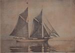 A Credit to the MAPLE LEAF: Schooner Days DCCXIII (713)
