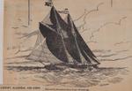 Salute to the Brave! - "Bluenose" - Backed by the King's Head: Schooner Days DCCXXX (730)