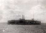 Steamboat ALGERIAN