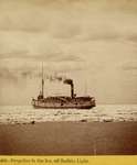 Propeller in the Ice, off Buffalo Light