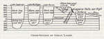 Cross-Section of Great Lakes