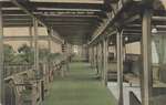 Promenade Deck Cabin, Niagara River Line Steamer "Cayuga"