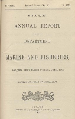 Report of Chairman of Board of Steamboat Inspection For the Year Ended 31st December 1873