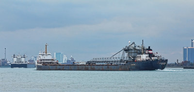 Algomarine and American Integrity