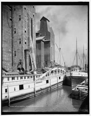 An Old Timer at C.T.T. Elevator, Buffalo, N.Y.