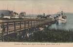 Steamer Landing and Yacht Club House, Sodus Point, N.Y.