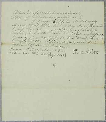 Napoleon, Oath, 20 May 1848