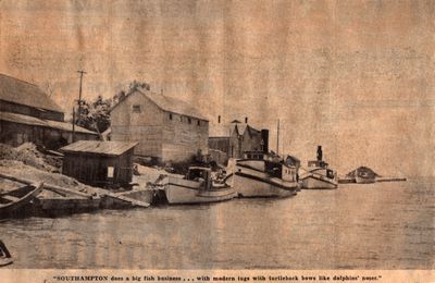 Harbor Lights at the Saugeen Mouth: Schooner Days CCCCIV (404)