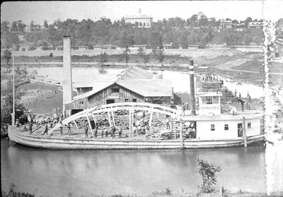 Steamer Cornucopia