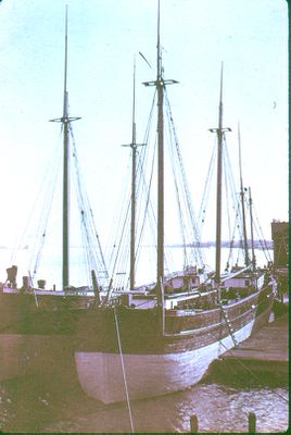 Schooners Lilly May & O. J. Hale