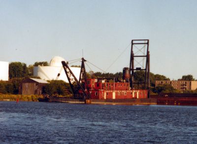 Dredge Primrose in Anglin Bay, Kingston