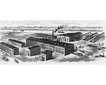 M. Beatty & Sons New Plant