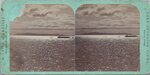 Stereoview