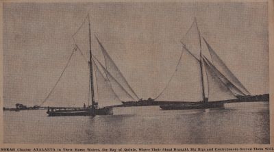 Fisher Cup Fights in Schooner Times: Schooner Days CCCLVI (356)