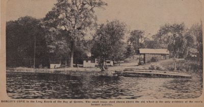 Nest of a Far Flyer: Schooner Days DXVIII (517)