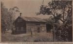 Gone Port Chronicles--Old Customs House--Its 100-Year Story: Schooner Days DCV (605)