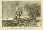 Burning of the Phoenix