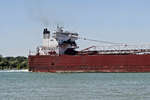 EDWIN H. GOTT; Detroit River passage #8